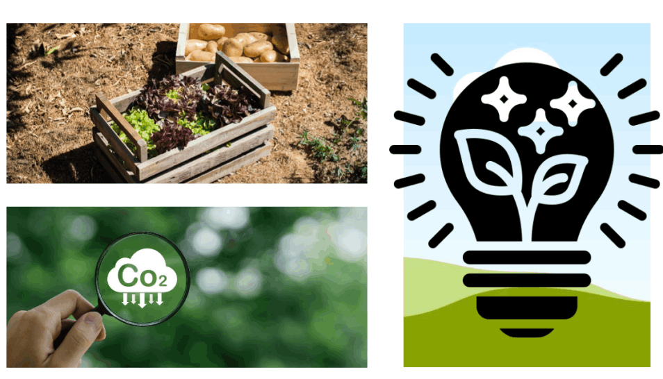 Webdesign Service Stuttgart